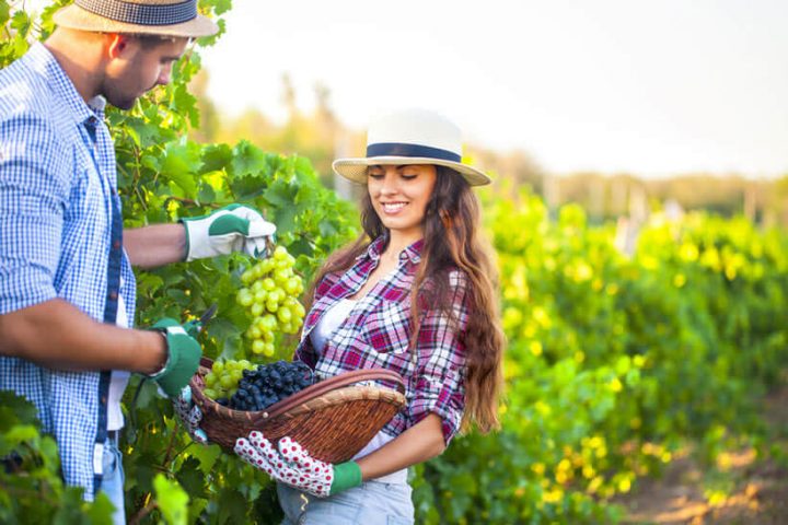 Best Farmers Dating Sites